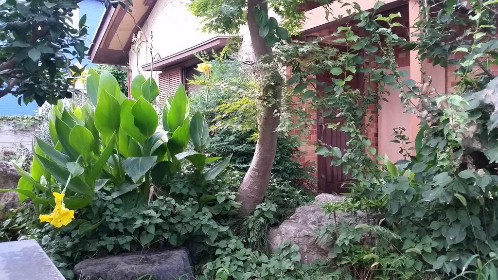 "Cherry House" Is Direct To Narita,Haneda Ap, Disney, Asakusa, Skytree Tower, Tokyo Matsudo Exterior photo