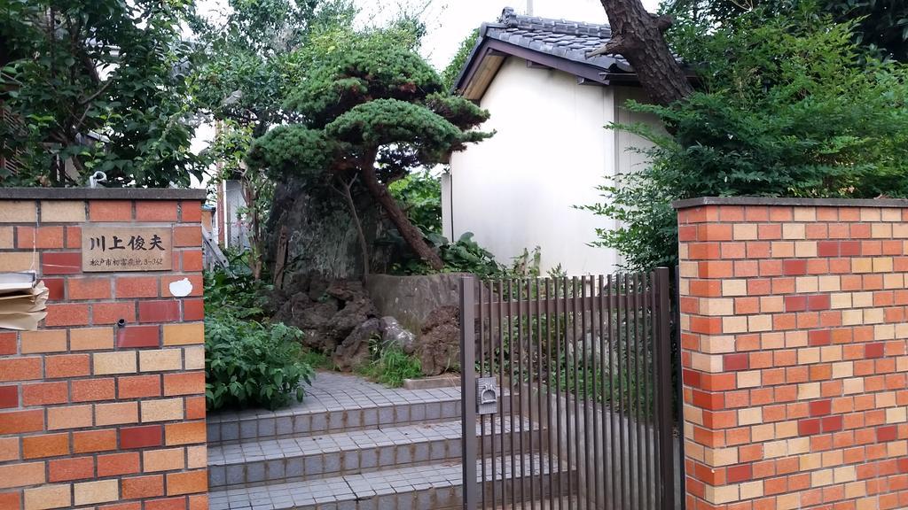 "Cherry House" Is Direct To Narita,Haneda Ap, Disney, Asakusa, Skytree Tower, Tokyo Matsudo Exterior photo