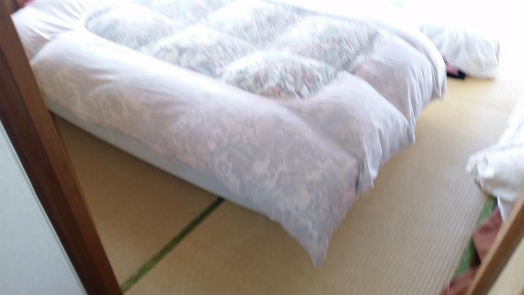 "Cherry House" Is Direct To Narita,Haneda Ap, Disney, Asakusa, Skytree Tower, Tokyo Matsudo Exterior photo