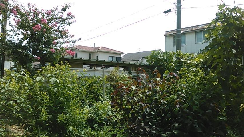 "Cherry House" Is Direct To Narita,Haneda Ap, Disney, Asakusa, Skytree Tower, Tokyo Matsudo Exterior photo