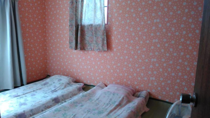 "Cherry House" Is Direct To Narita,Haneda Ap, Disney, Asakusa, Skytree Tower, Tokyo Matsudo Exterior photo
