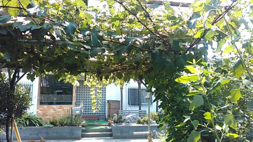 "Cherry House" Is Direct To Narita,Haneda Ap, Disney, Asakusa, Skytree Tower, Tokyo Matsudo Exterior photo